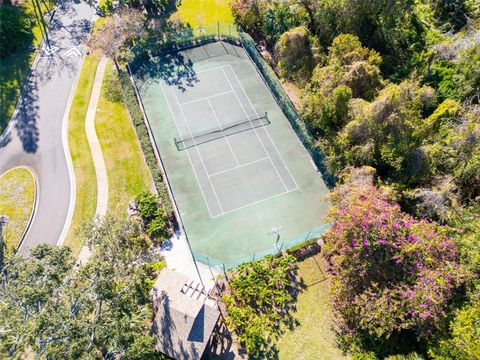 A home in PALM HARBOR