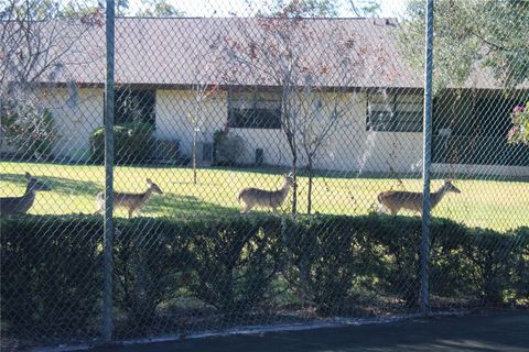 A home in PALM HARBOR