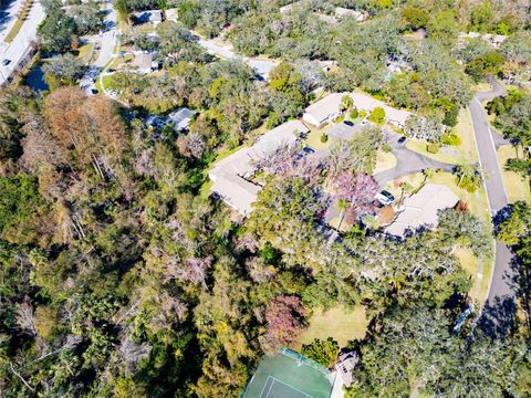 A home in PALM HARBOR