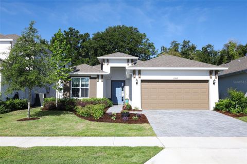 2289 SIRENA LANE MOUNT DORA FL 32757