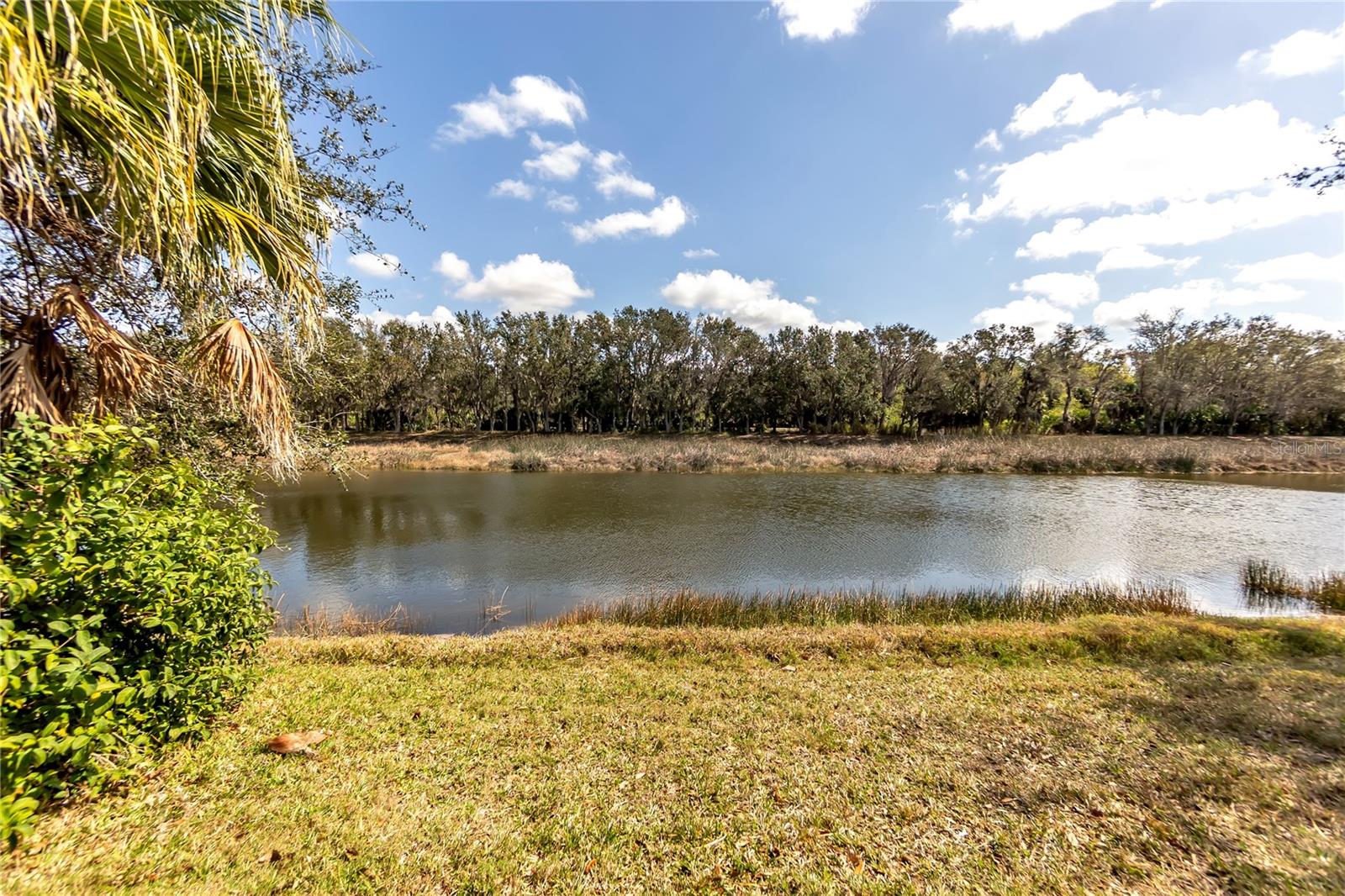 PARK TRACE ESTATES - Residential