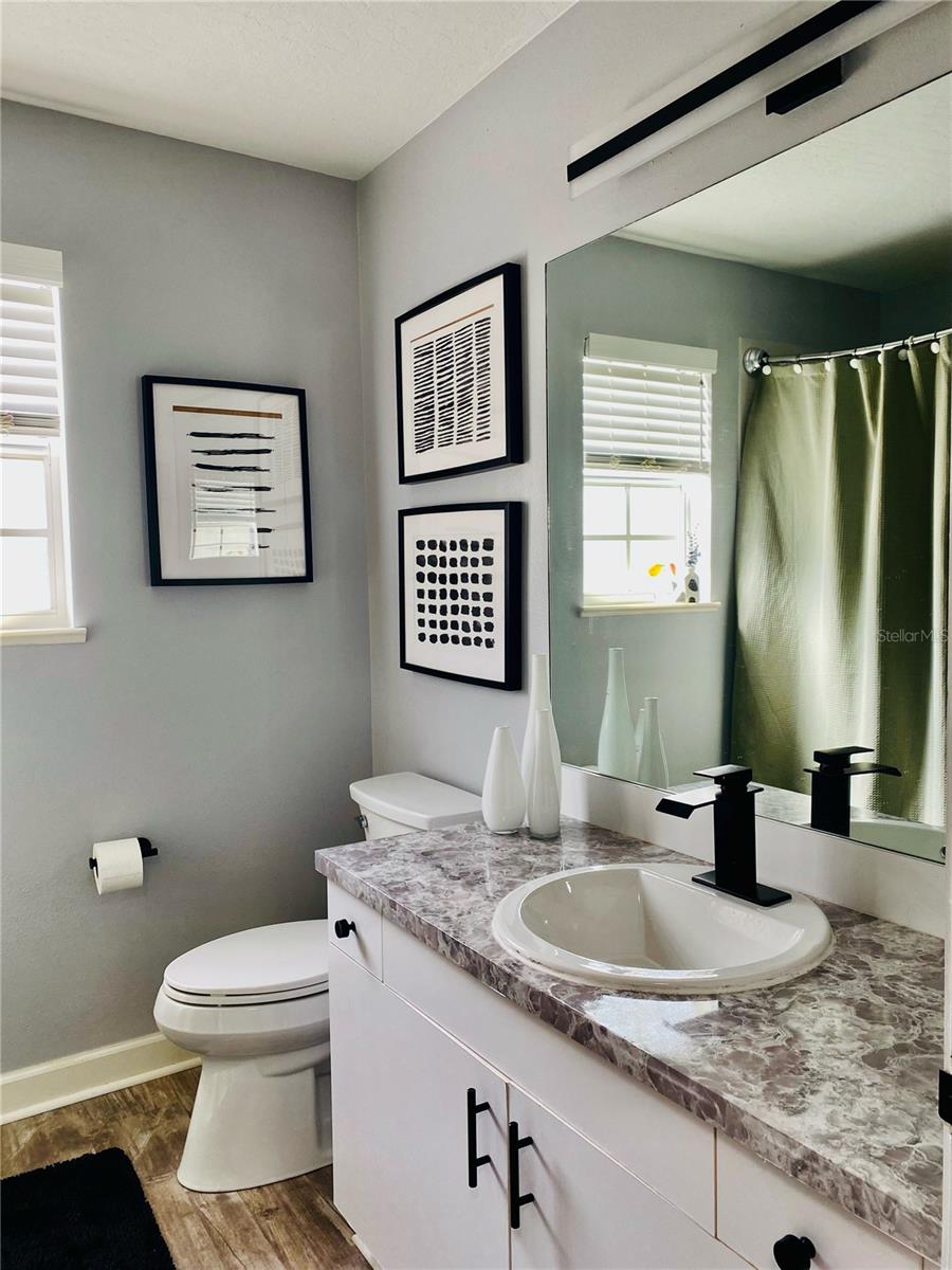 LAKE POINTE SUNTREE - Residential