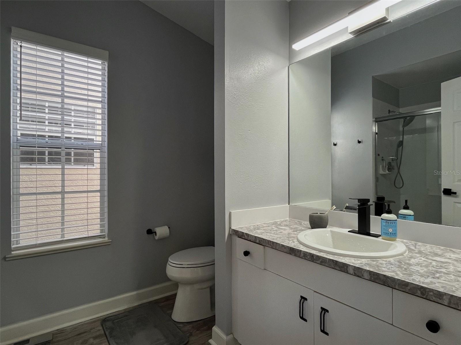 LAKE POINTE SUNTREE - Residential