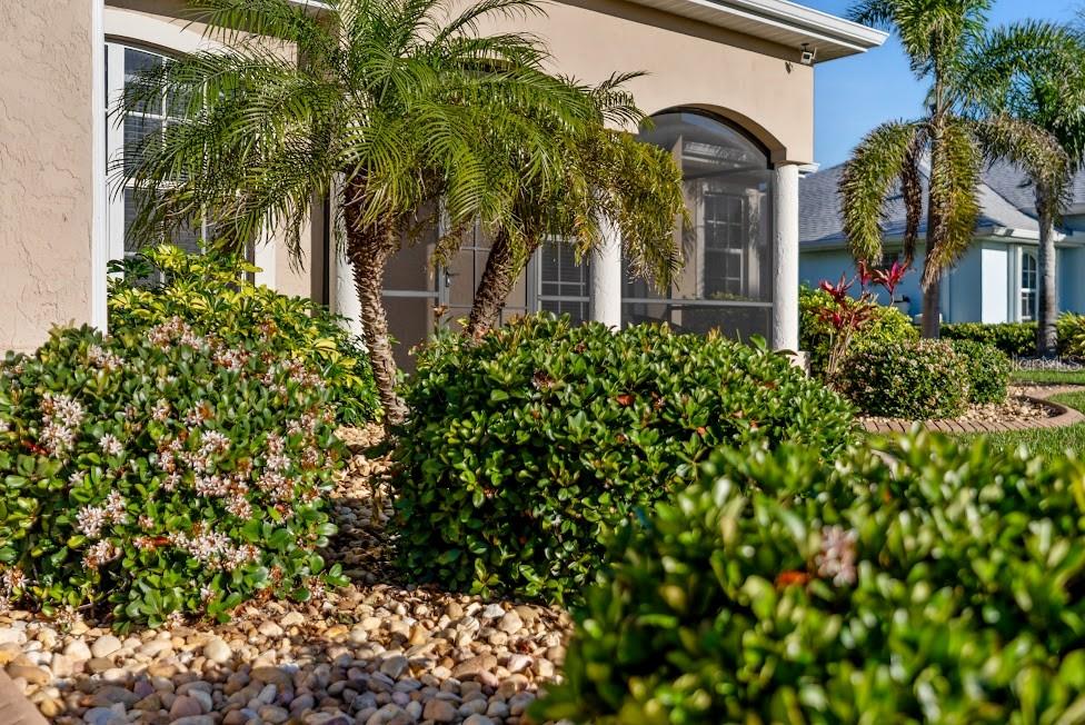 2363 JASMINE WAY