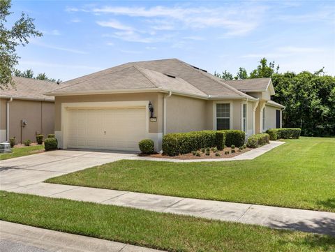 Photo of 6639 SW 91st Circle, Ocala, FL 34481 (MLS # OM705041)