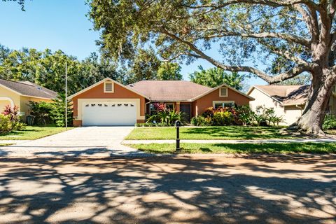 A home in PALM HARBOR