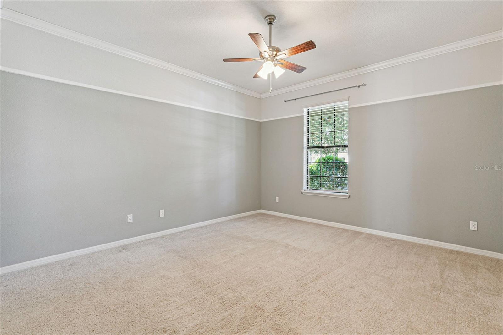 WINDERMERE TERRACE - Residential