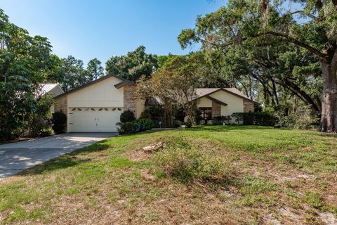 14449 WADSWORTH DRIVE ODESSA FL 33556