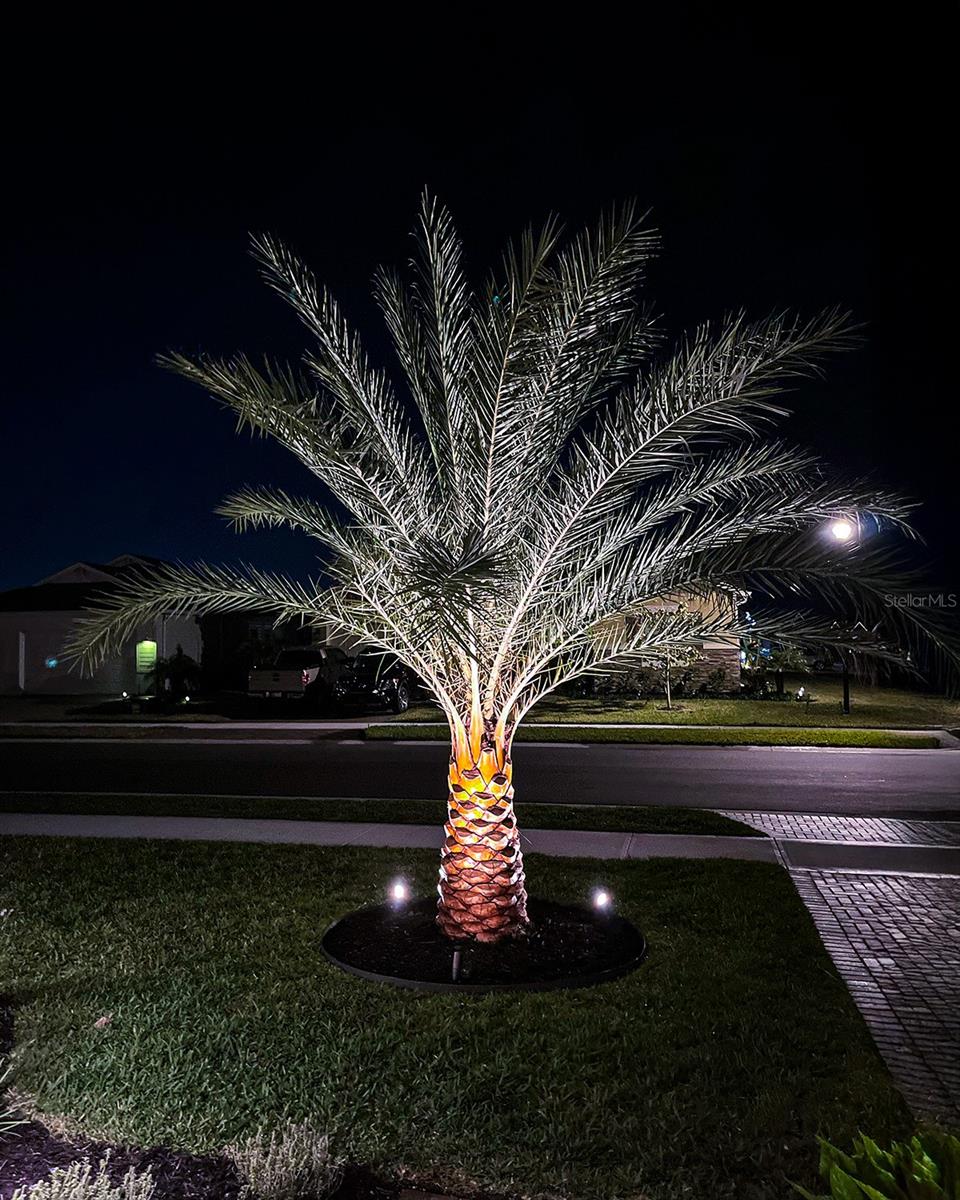 BRDGWATER SOUTH/VIERA SEC 2 - Residential