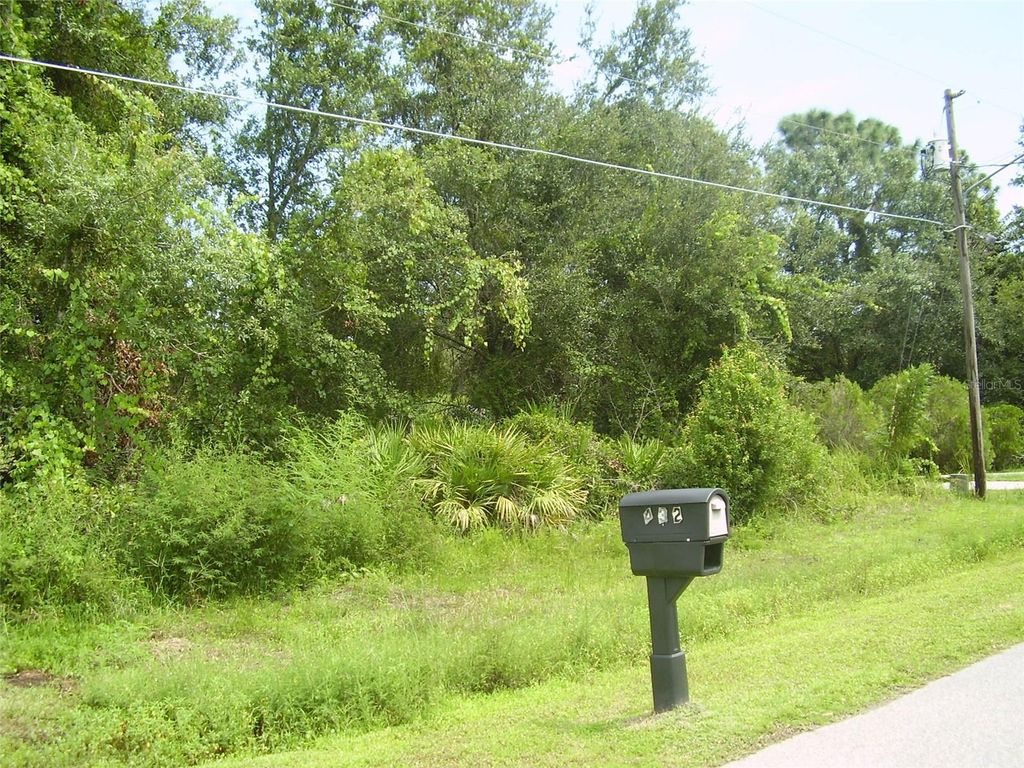 Photo of 431 Dove Drive, Kissimmee, FL 34759 (MLS # R4909990)