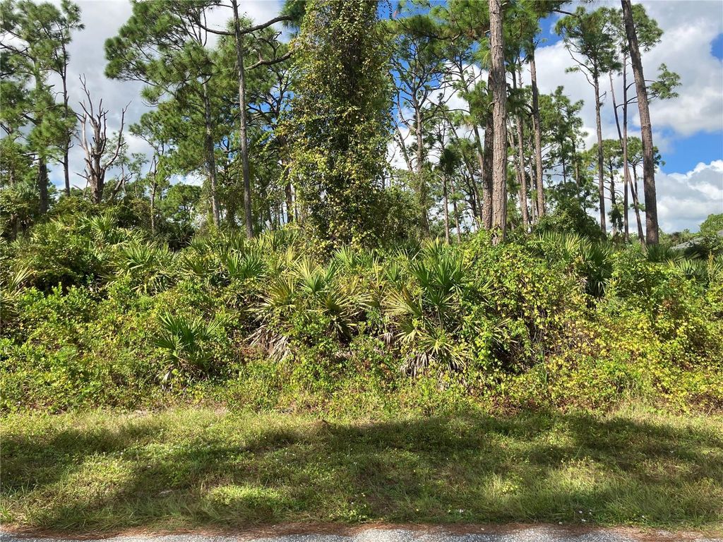 Photo of 151 Stanhope Street, Port Charlotte, FL 33954 (MLS # C7516043)