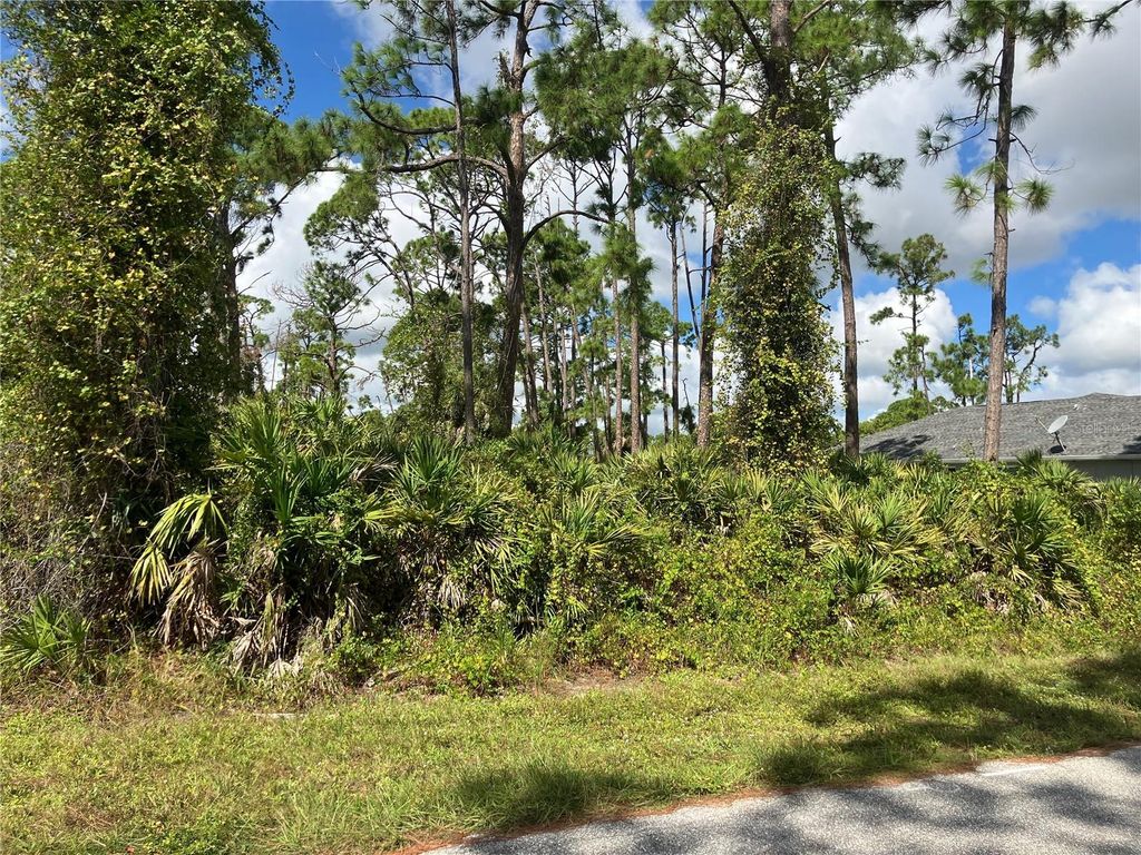 Photo of 151 Stanhope Street, Port Charlotte, FL 33954 (MLS # C7516043)