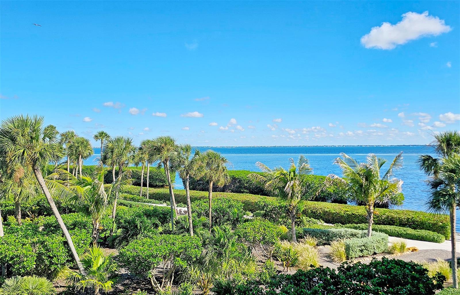 2110 HARBOURSIDE DRIVE 523
