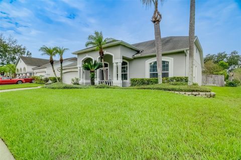 A home in VALRICO