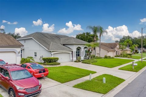 A home in VALRICO