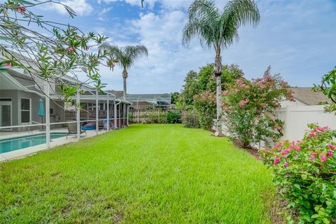 A home in VALRICO