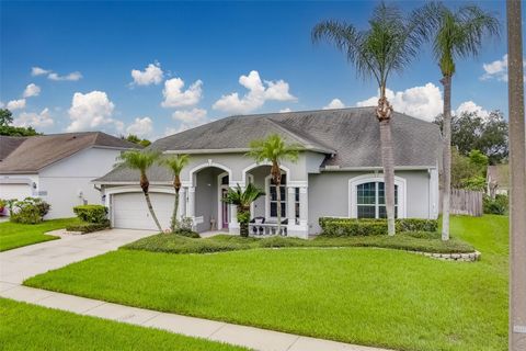 A home in VALRICO