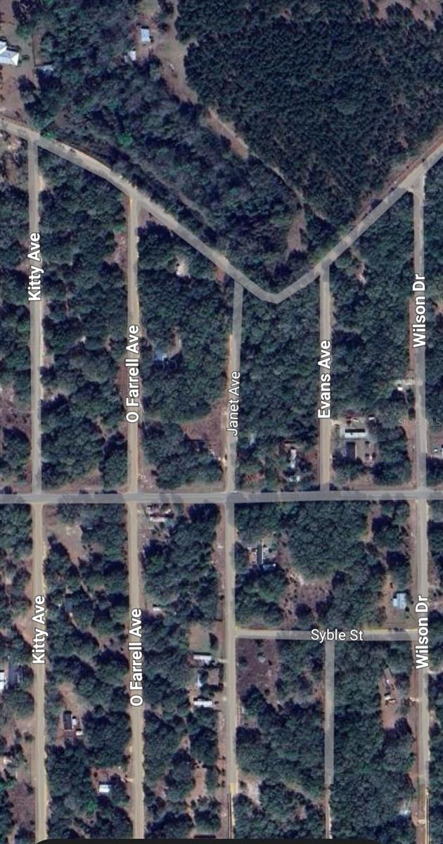 Seller financing available. 15percent discount off the total price with purchase of 3 or more lots. Seller finance price $9,900-$900 down-12percent interest-5 year term-$200/month payment. (1) of (40) BUILDING LOTS FOR SALE BY THE SAME SELLER. This lot is Zoned for MOBILE or SITE BUILT HOMES w/NO HOA. High and Dry, BUILDABLE lot located in INTERLACHEN LAKES ESTATES. Buy this land as an investment with low taxes, buy and hold with no timeline to build, or contact us about a land/home package and start building today. Tax ID: 26-09-24-4076-1230-0030