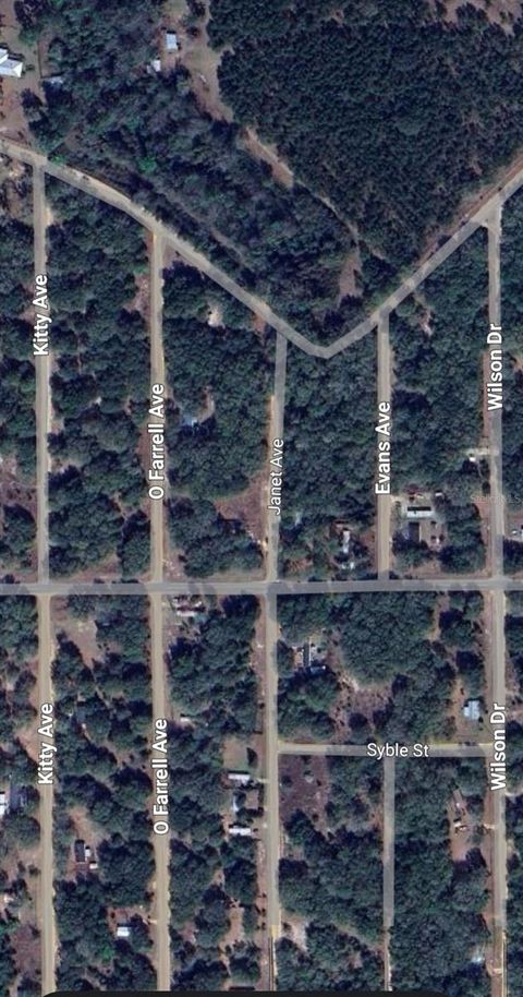 LOT 3 JANET AVENUE INTERLACHEN FL 32148