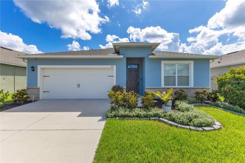 Photo of 633 Greymount Street, Davenport, FL 33837 (MLS # O6338098)