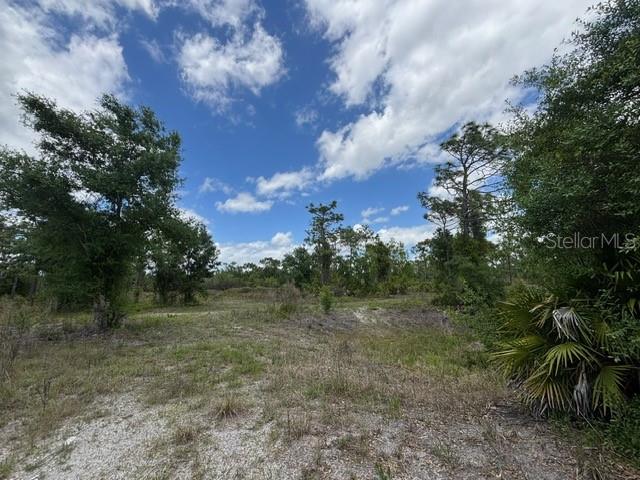 PUNTA GORDA ACRES - Land
