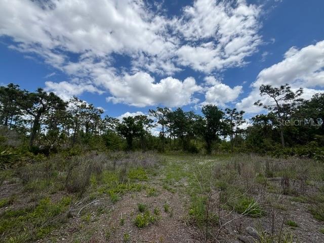 PUNTA GORDA ACRES - Land