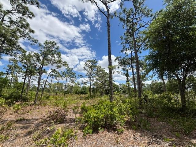 PUNTA GORDA ACRES - Land