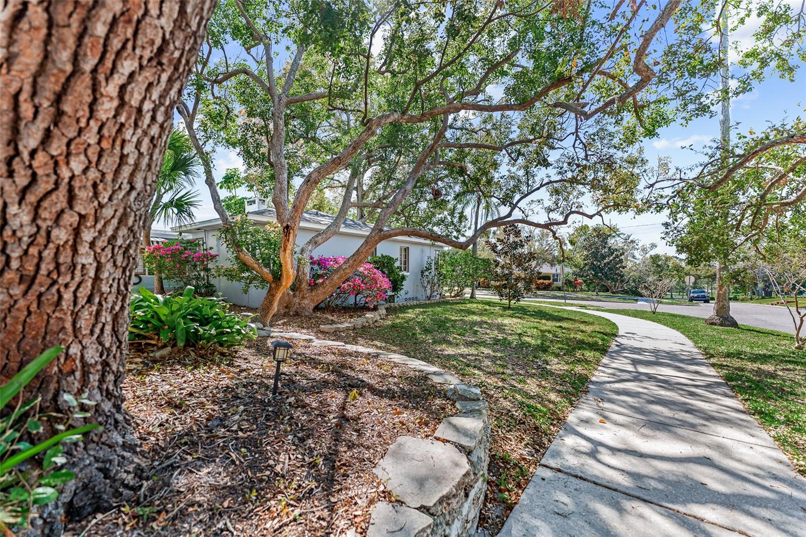 325 ORANGEVIEW AVENUE