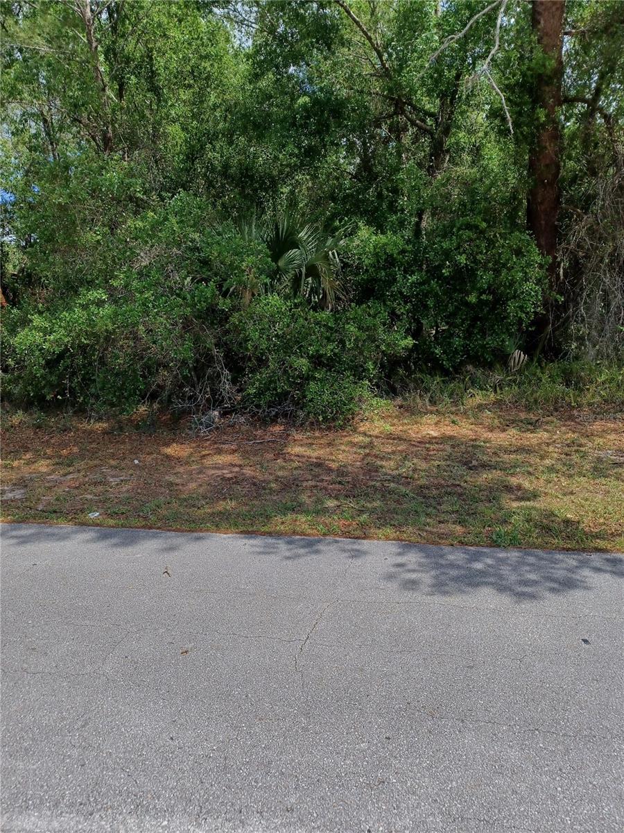 Good lot, good location