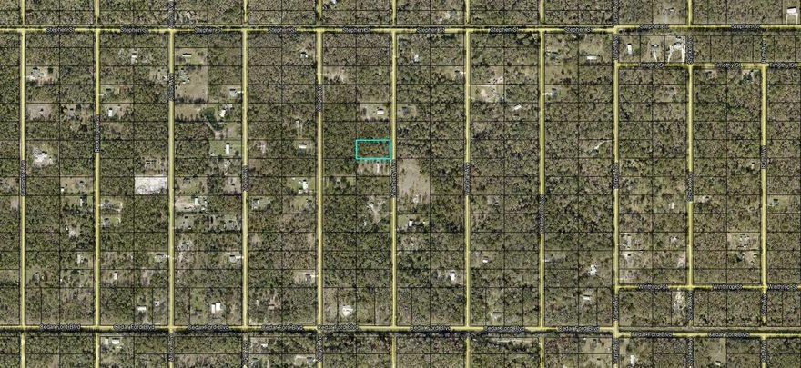 Welcome to Country Living! 1.14 acre wooded residential lot in Flagler Estates and highly desirable St Johns County. No HOA fees. No flood zone. This lot is ready for your manufactured, modular, or traditional single-family home. Farm animals are allowed. This is a great opportunity to build in Flagler Estates. The lot is second on right from Palatka Blvd.