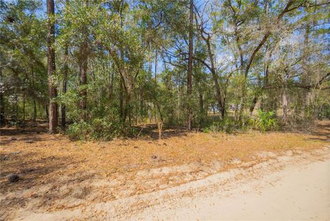 Tiny photo for 5500 S Cherokee Terrace, Inverness, FL 34452 (MLS # W7883538)