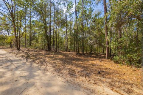 Tiny photo for 5500 S Cherokee Terrace, Inverness, FL 34452 (MLS # W7883538)