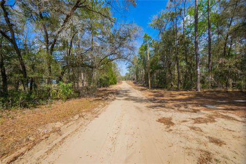 Tiny photo for 5500 S Cherokee Terrace, Inverness, FL 34452 (MLS # W7883538)