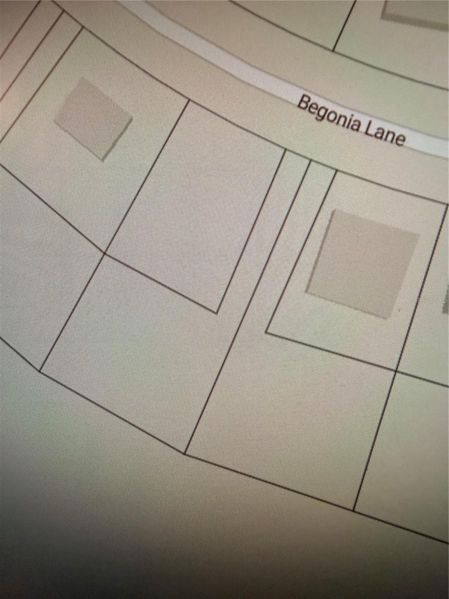 244 BEGONIA LANE