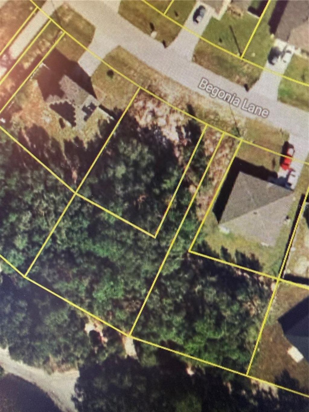 Photo of 244 Begonia Lane, Kissimmee, FL 34759 (MLS # O6378692)