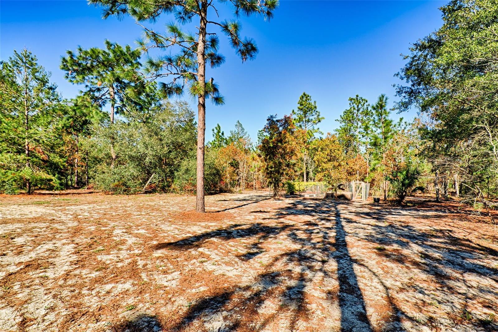 MELROSE LANDING - Residential