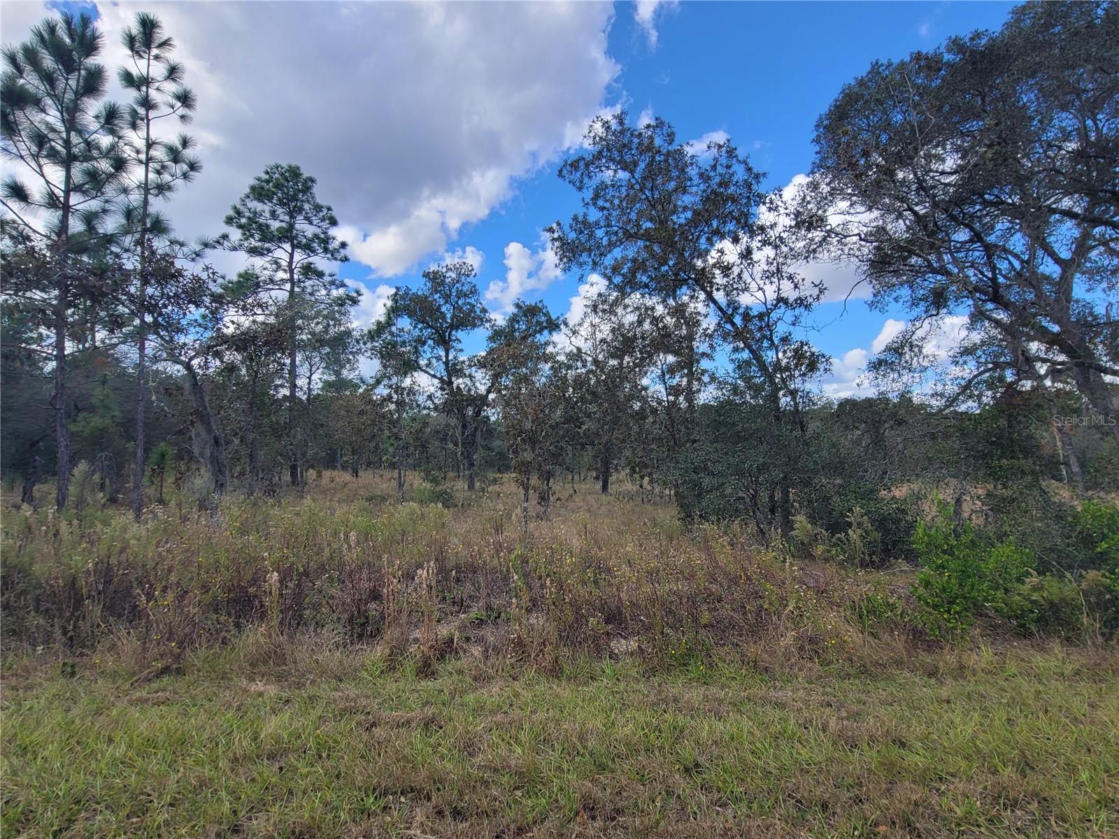 RAINBOW LAKES ESTATE - Land