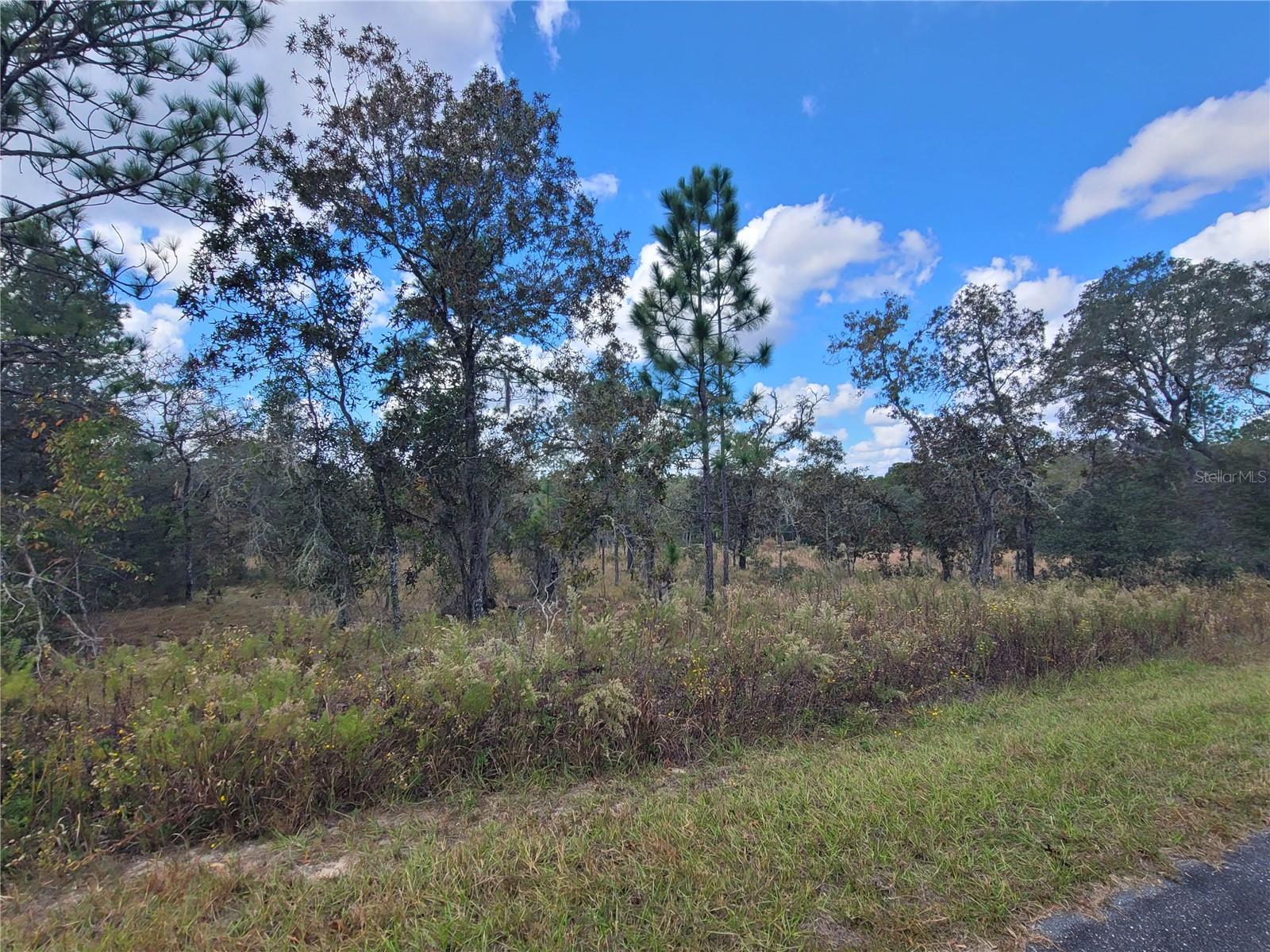 RAINBOW LAKES ESTATE - Land