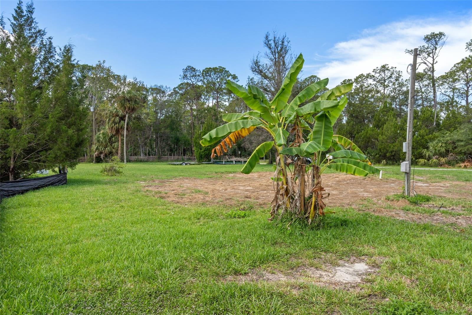 PALM GROVE COLONY - Land