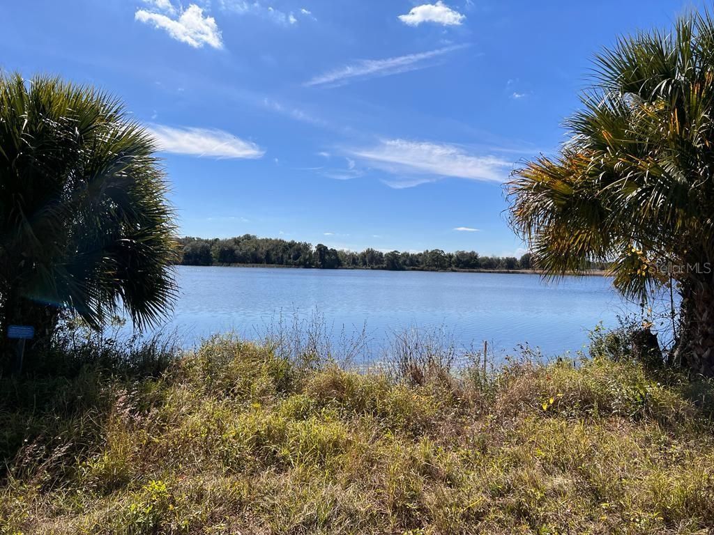 Photo of 3412 Lake Diane Rd #67, Tavares, FL 32778 (MLS # S5081753)