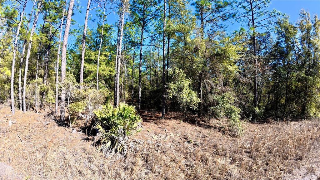 Photo of Southwest 38th Place, Ocala, FL 34481 (MLS # O6382596)