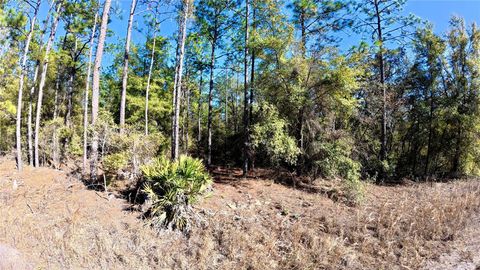 SOUTHWEST 38TH PLACE OCALA FL 34481