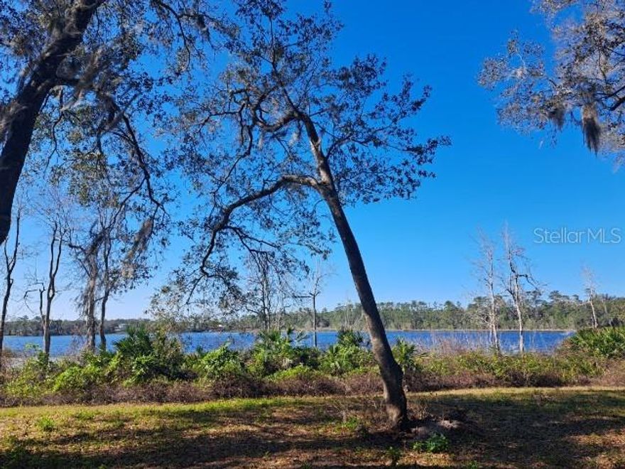 DeLand - Lake Front property on beautiful Lake Mamie!