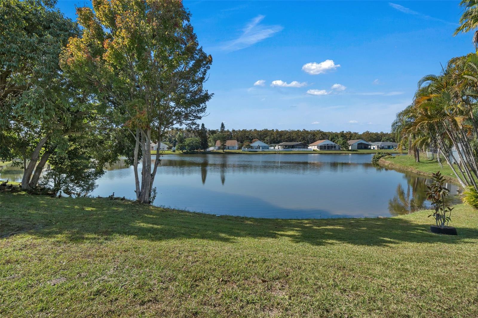 MORGAN POINT PH 1 - Residential