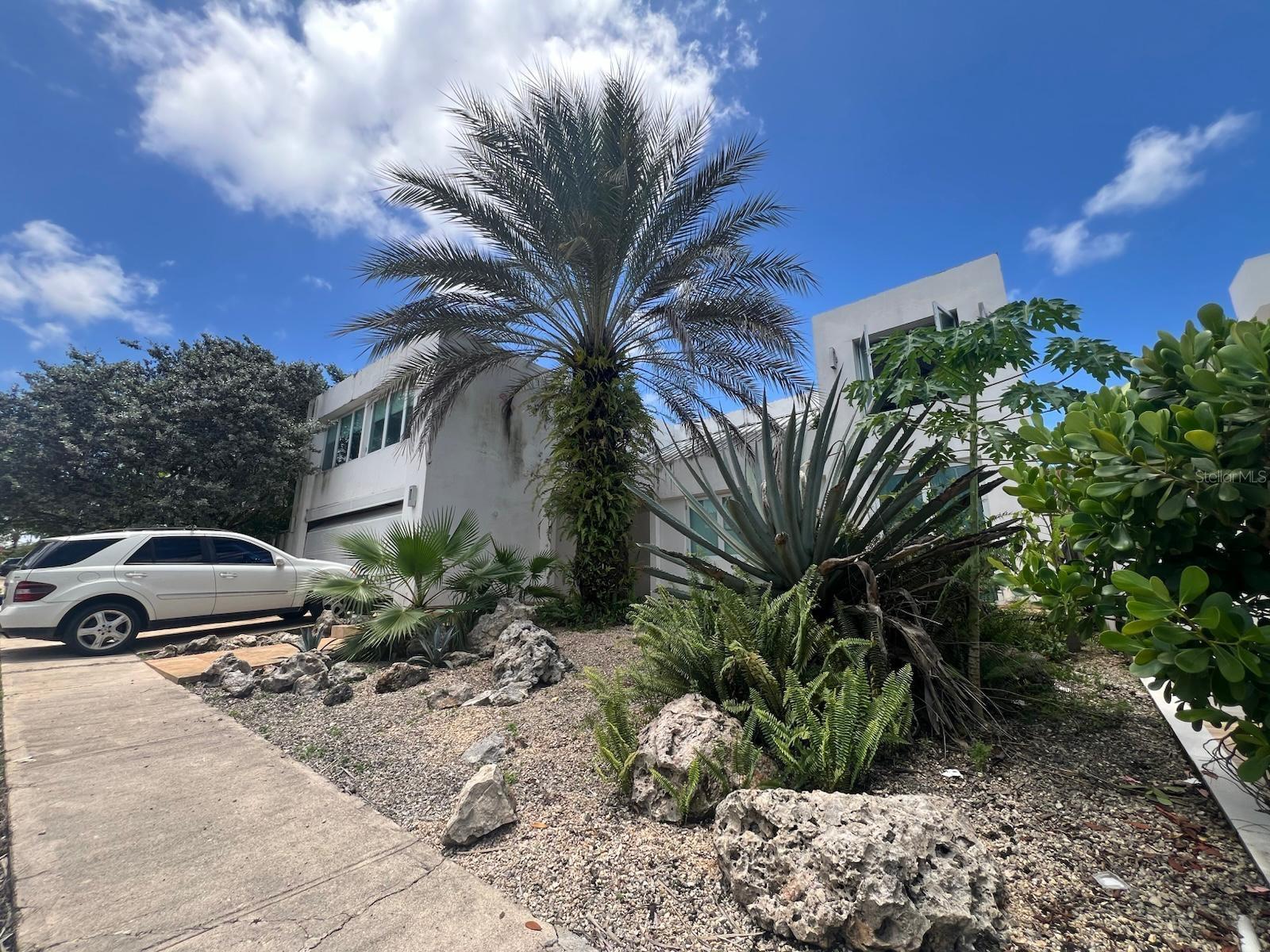 Caoba 39