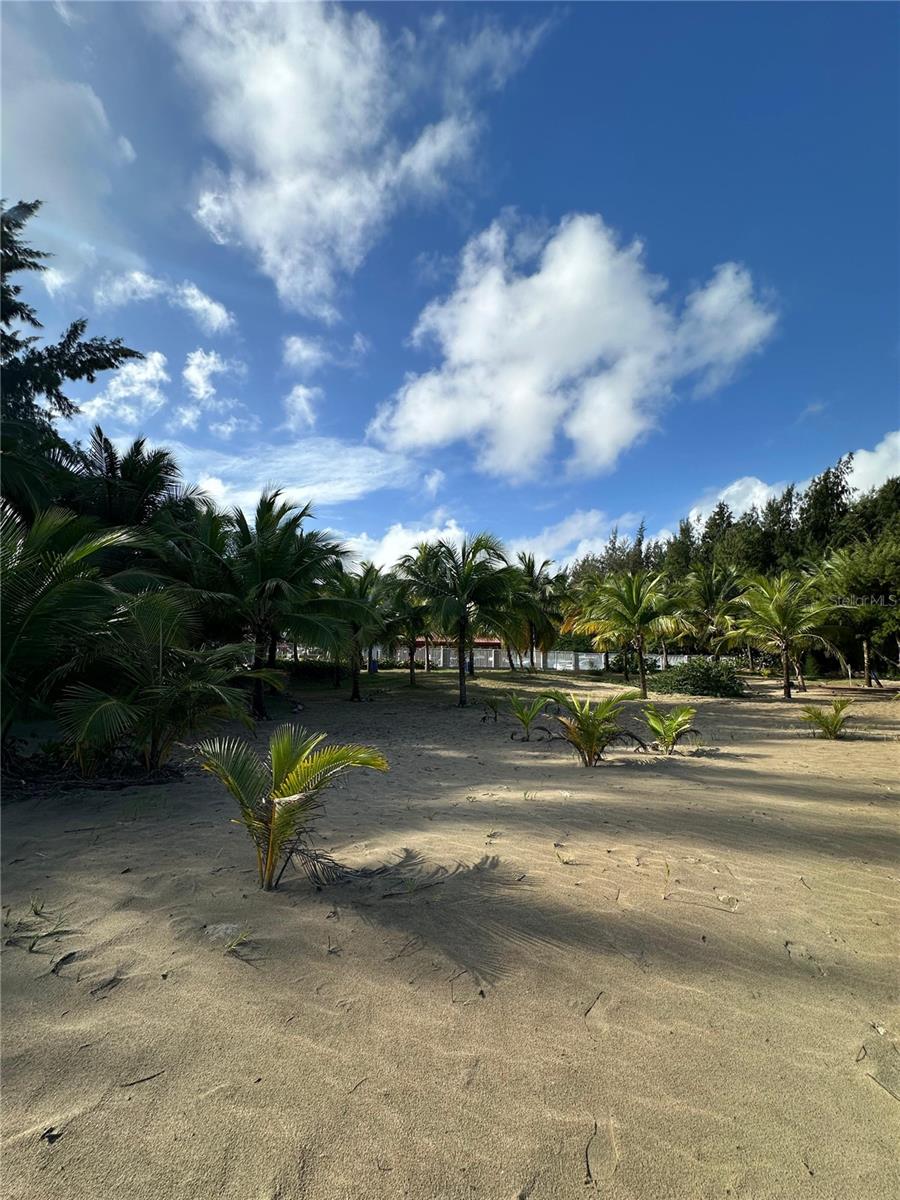 CONDOMINIO OCEAN POINT - Residential