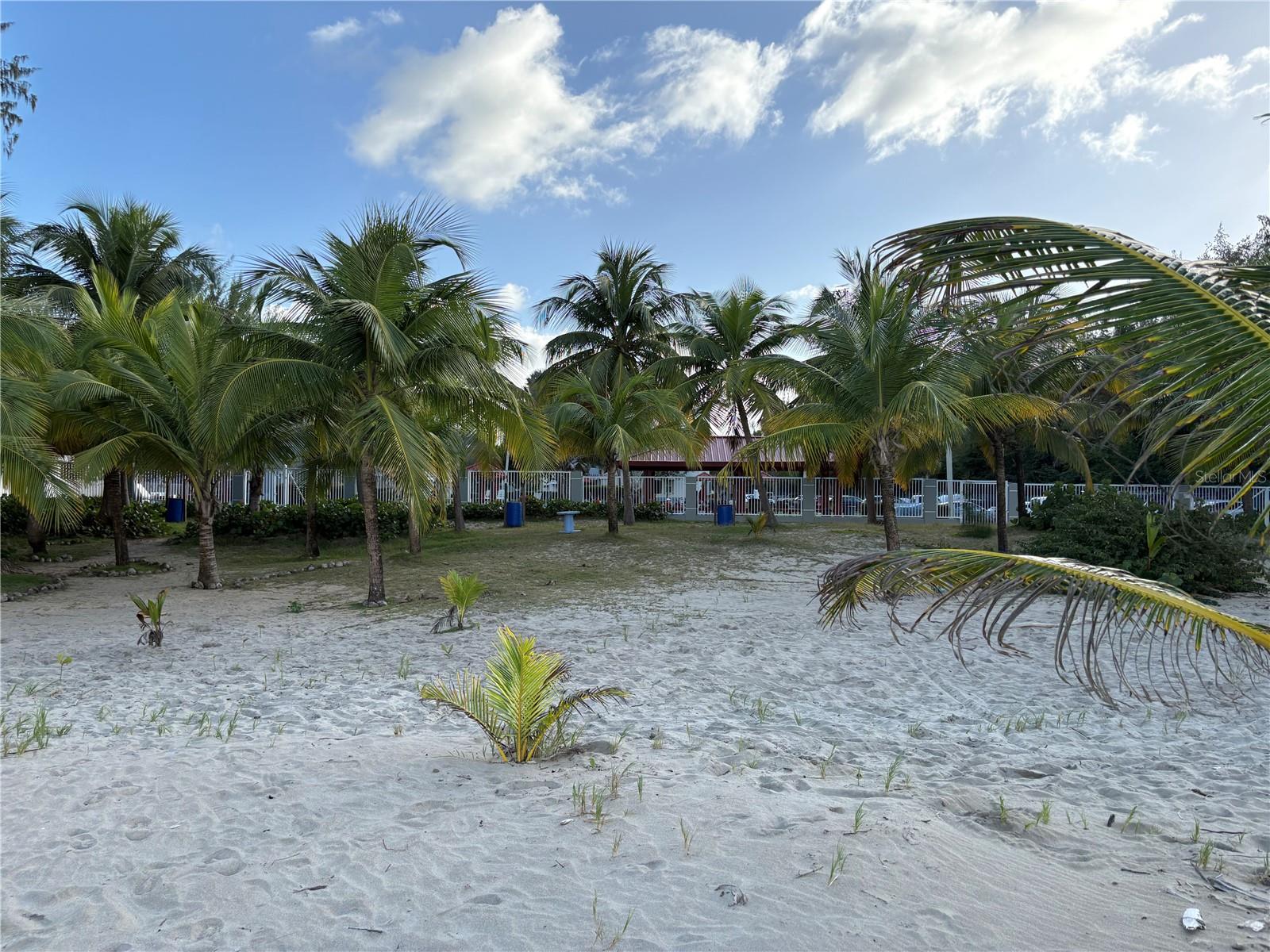 CONDOMINIO OCEAN POINT - Residential