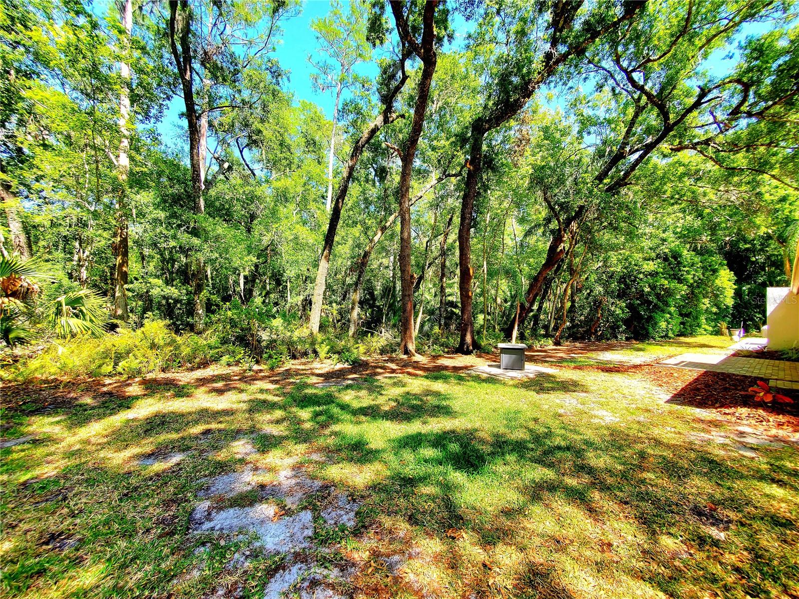 TARPON WOODS 2ND ADD REP - Residential