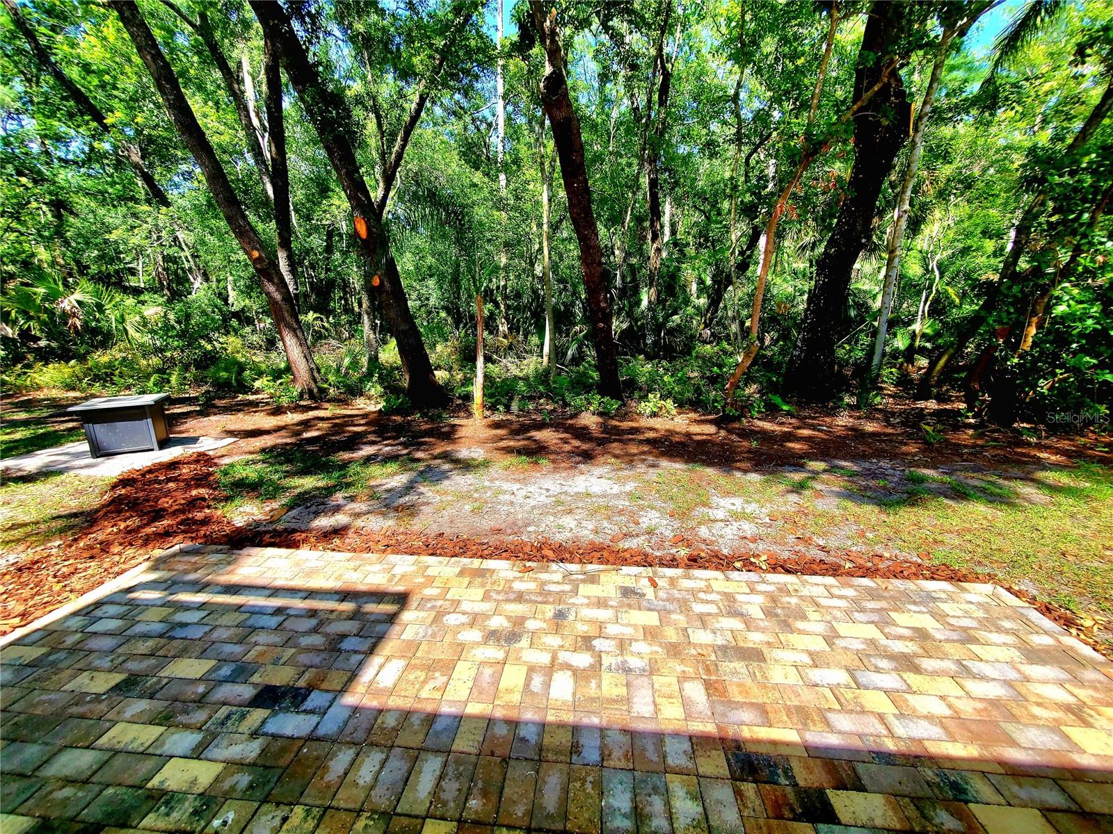 TARPON WOODS 2ND ADD REP - Residential