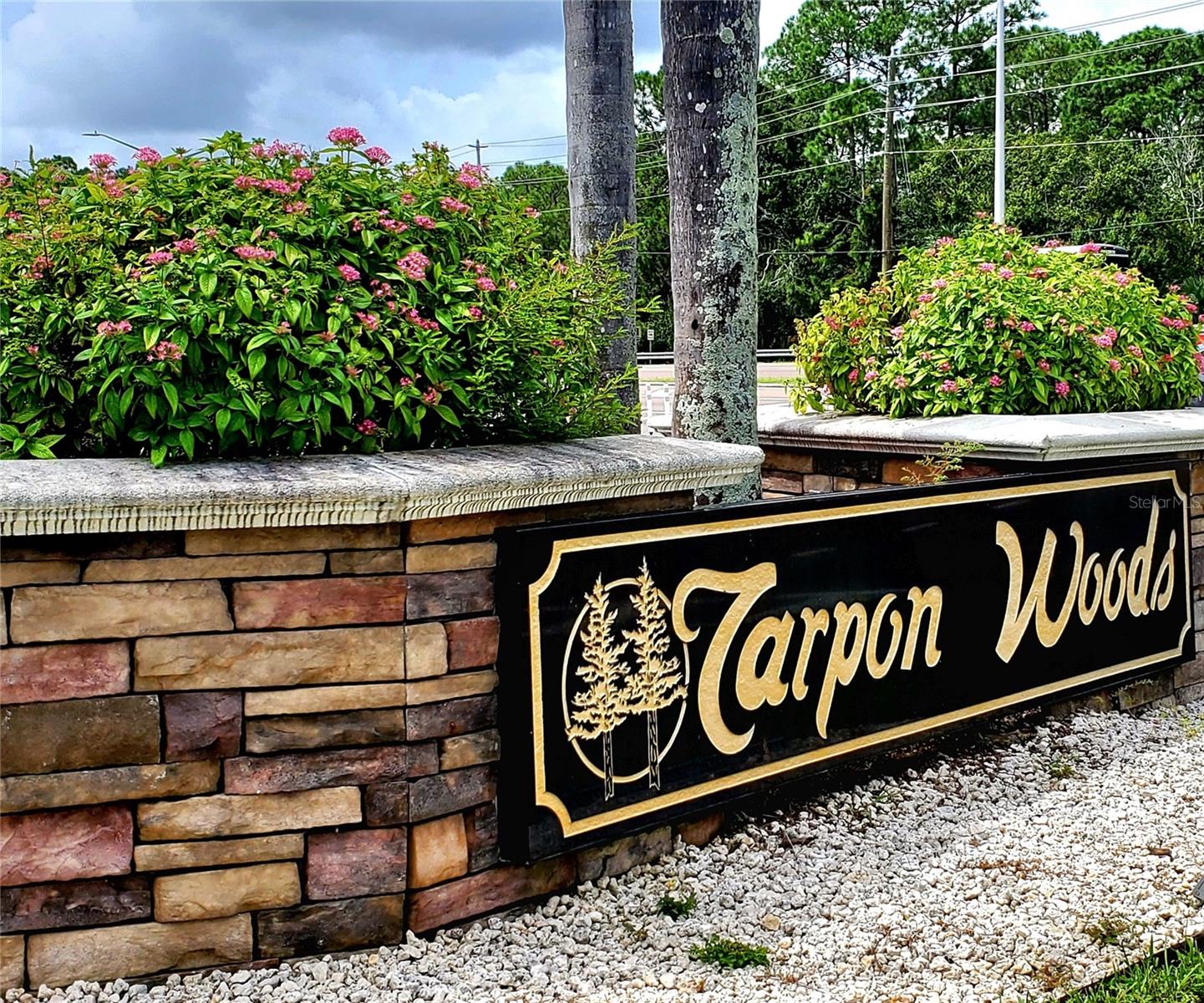 TARPON WOODS 2ND ADD REP - Residential